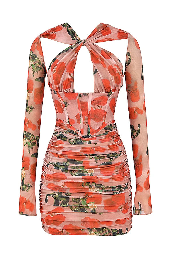 rose print corset mini dress